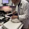 Veterinarians To Cats, West Virginia, Roanoke