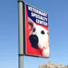 Veterinary Specialty Center, Colorado, Colorado Springs