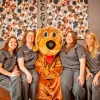 Wags 2 Whiskers Veterinary Hospital, Texas, Montgomery