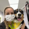 Michelle's Pet Grooming, Florida, Fort Lauderdale