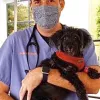 Animal Cancer Care Clinic, Florida, Fort Lauderdale