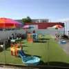 Playful Pooch Dog Daycare & Boarding, Colorado, Denver