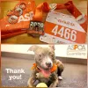 ASPCA Spay/Neuter Clinic, California, Los Angeles