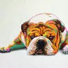 Southern California Bulldog Rescue, California, Santa Ana