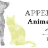 Appelbaum Animal Clinic, Oklahoma, Tulsa