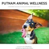 Putnam Animal Wellness, New York, Brewster