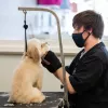 Lakeside Pet Groomers, Texas, Plano