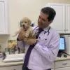 Pico Veterinary Clinic, California, San Clemente