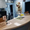 Surf Paws Animal Hospital, Hawaii, Honolulu