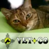 Vetco, New Mexico, Albuquerque