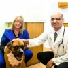 Gentle Care Veterinary Clinic, Illinois, Plainfield