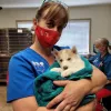 East Montgomery County Animal Hospital, Texas, Conroe