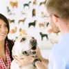Oakhurst Grooming Salon, Florida, Seminole