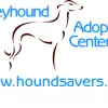 Greyhound Adoption Center, California, El Cajon