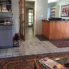 The Cat Hospital On Park Street, Florida, Saint Petersburg