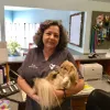 Hammond Animal Hospital And Pet Lodge, Louisiana, Hammond