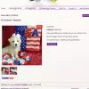 Malti Poo Pup, Texas, Austin