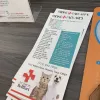 Pet Clinic On Bellfort, Texas, Houston