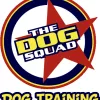 Dog Squad Dog Training, California, Oakland