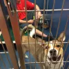 Spca of North Brevard Adoption Center, Florida, Titusville