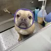 We Love Dogs! Mobile Grooming, California, Santa Clara