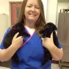 Memorial Veterinary Pet Care Hospital, Texas, Houston