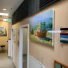 Evergreen Animal Clinic, California, Santa Maria
