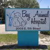 Bay Animal Hospital, Florida, Panama City