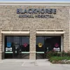 Blackhorse Animal Hospital, Texas, Cypress