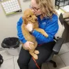 West Villa Animal Hospital, Nebraska, Kearney