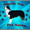 Diggidy Dog Pet Salon, Texas, The Colony