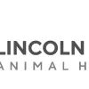 Lincoln Square Animal Hospital, Illinois, Chicago