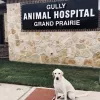 Gully Animal Hospital of Grand Prairie, Texas, Grand Prairie