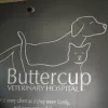 Buttercup Veterinary Hospital, Texas, Cedar Park