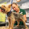 Advantage Pet Center, Florida, Largo