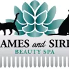 Dames and Sires Beauty Spa, Illinois, Springfield