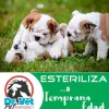 Dr. Vet Pet Emergency, California, Tijuana