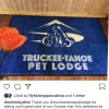 Truckee-Tahoe Pet Lodge, California, Truckee