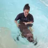 Dip'n Dogs Hydrotherapy, Florida, Orlando