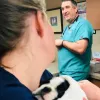 Bocage Animal Hospital, Louisiana, Baton Rouge