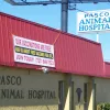 Pasco Animal Hospital, Florida, New Port Richey
