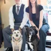 Clifton Hollow Animal Hospital, Washington, Poulsbo