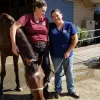 The Equine Center, California, San Luis Obispo