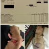 Animal Emergency and Specialty Center, California, Reno