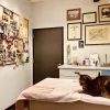 Sunnycrest Animal Care Center, California, Fullerton