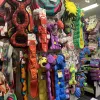 Doggstuff, Hawaii, Virginia Beach