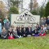 Acorn Animal Hospital, Rhode Island, Franklin