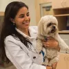 West Loop Veterinary Care, Illinois, Chicago