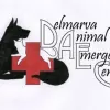 Delmarva Animal Emergency Center, Maryland, Dover