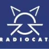 Radiocat, Maryland, Baltimore